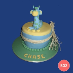 b03