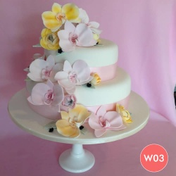 w03
