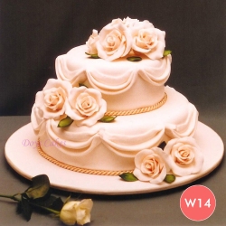w14