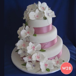 w28